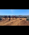 Wikiland Tours