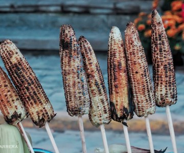 Elotes asados - Wikiland Tours 