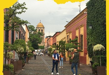 Wikiland Tours